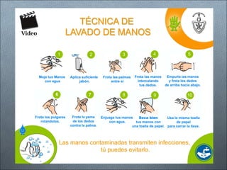 Catarro común