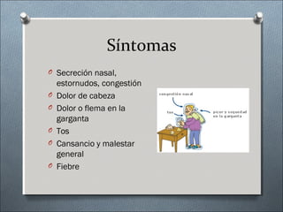 Síntomas
O Secreción nasal,
estornudos, congestión
O Dolor de cabeza
O Dolor o flema en la
garganta
O Tos
O Cansancio y malestar
general
O Fiebre
 