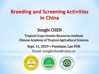 Tropical Crops Genetic Resources Institute
Chinese Academy of Tropical Agricultural Sciences
Sept. 11, 2019  Vientiane, Lao PDR
Email: songbichen@catas.cn
Breeding and Screening Activities
in China
Songbi CHEN
 