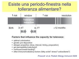Esiste una periodo-finestra nella tolleranza alimentare? Prescott  et al, Pediatr Allergy Immunol 2009   