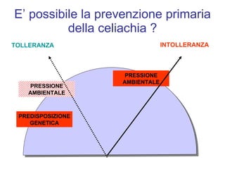 E’ possibile la prevenzione primaria della celiachia ? TOLLERANZA INTOLLERANZA PREDISPOSIZIONE GENETICA PRESSIONE AMBIENTALE PRESSIONE AMBIENTALE 