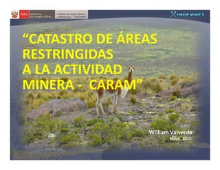 “CATASTRO DE ÁREAS
RESTRINGIDAS
A LA ACTIVIDAD
MINERA - CARAM”

                William Valverde
                       Mayo, 2011.
 