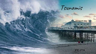 Tsunamis
8ºE nº14
 