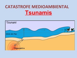 Tsunamis
CATASTROFE MEDIOAMBIENTAL
 
