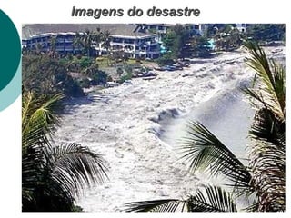 IImmaaggeennss ddoo ddeessaassttrree 
 