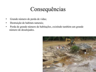 Consequências 
• Grande número de perda de vidas; 
• Destruição de habitats naturais; 
• Perda de grande número de habitações, existindo também um grande 
número de desalojados. 
 