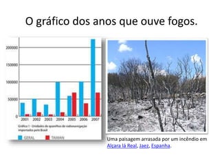 O gráfico dos anos que ouve fogos. 
Uma paisagem arrasada por um incêndio em 
Alçara lá Real, Jaez, Espanha. 
 