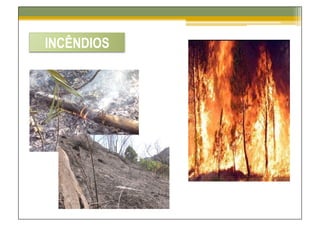 INCÊNDIOS
 