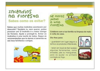 Catastrofes Naturais