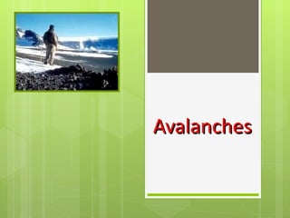 Avalanches 