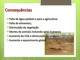 Consequências Falta de água potável e para a agricultura Falta de alimentos;. Diminuição da vegetação Mortes de animais incluindo seres humanos Aumento do CO2 e diminuição do oxigénio Aumenta o aquecimento global 