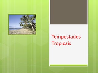 Tempestades Tropicais 