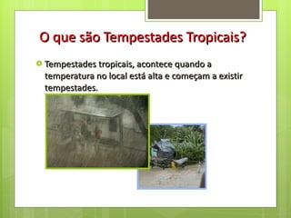 O que são Tempestades Tropicais? Tempestades tropicais, acontece quando a temperatura no local está alta e começam a existir tempestades. 
