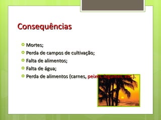 Consequências Mortes; Perda de campos de cultivação; Falta de alimentos; Falta de água; Perda de alimentos (carnes,  peixes, legumes, etc.). 