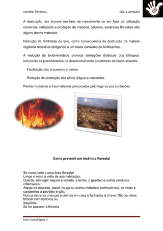 Catastrofes naturais incendios