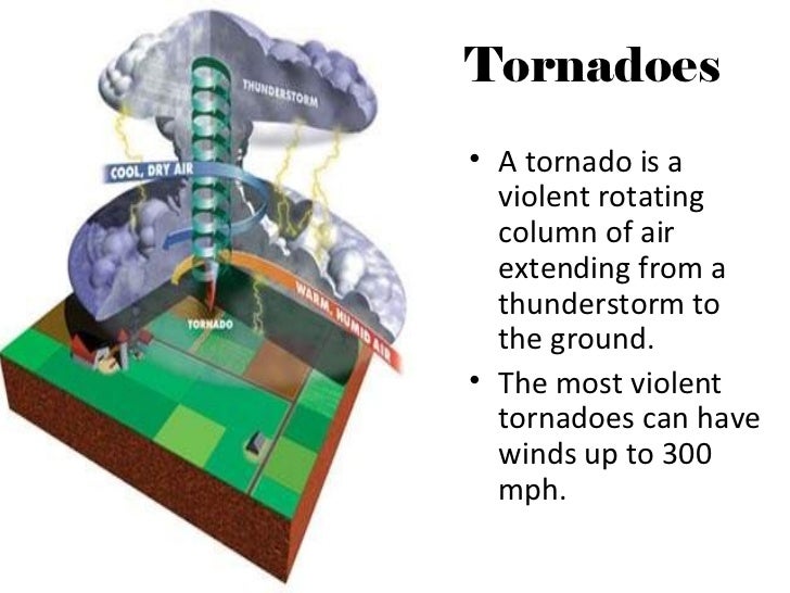 Catastrophic events impact on the ecosystem (nx power lite)