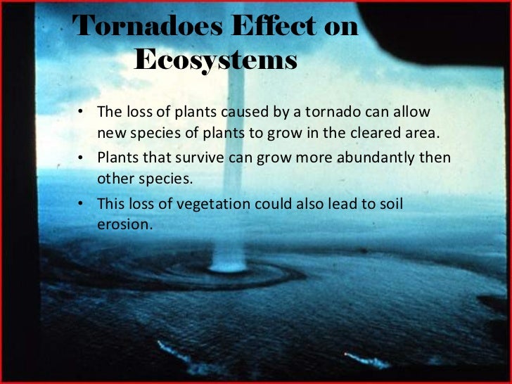Cause and Effect of Tornadoes