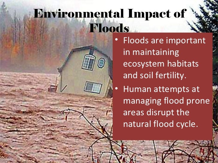 Human influence on floods research essays