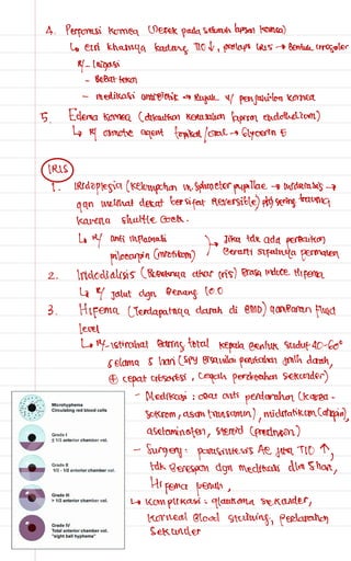 Catatan mata