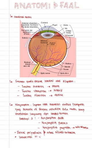 Catatan mata