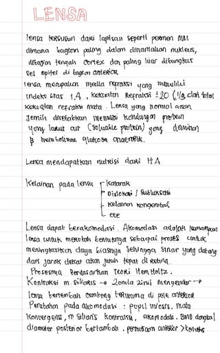 Catatan mata