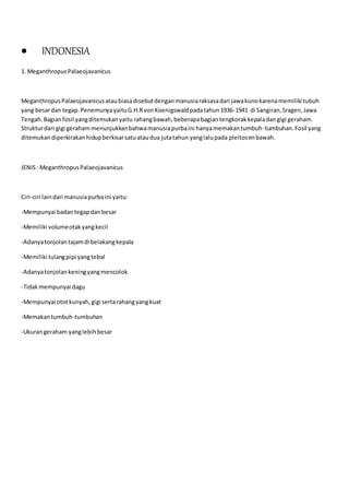  INDONESIA
1. MeganthropusPalaeojavanicus
MeganthropusPalaeojavanicusataubiasadisebutdenganmanusiaraksasadari jawakunokarenamemiliki tubuh
yang besardan tegap.PenemunyayaituG.H.RvonKoenigswaldpadatahun1936-1941 di Sangiran,Sragen,Jawa
Tengah.Bagianfosil yangditemukanyaitu rahangbawah,beberapabagiantengkorakkepaladangigi geraham.
Strukturdari gigi gerahammenunjukkanbahwamanusiapurbaini hanyamemakantumbuh-tumbuhan.Fosil yang
ditemukandiperkirakanhidupberkisarsatuataudua jutatahun yanglalupada pleitosenbawah.
JENIS: MeganthropusPalaeojavanicus
Ciri-ciri laindari manusiapurbaini yaitu:
-Mempunyai badantegapdanbesar
-Memiliki volumeotakyangkecil
-Adanyatonjolantajamdi belakangkepala
-Memiliki tulangpipi yangtebal
-Adanyatonjolankeningyangmencolok
-Tidakmempunyai dagu
-Mempunyai ototkunyah,gigi sertarahangyangkuat
-Memakantumbuh-tumbuhan
-Ukurangeraham yanglebihbesar
 