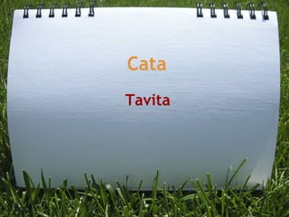Cata Tavita 