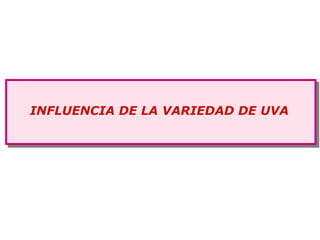 INFLUENCIA DE LA VARIEDAD DE UVA
 