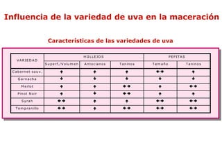 Influencia de la variedad de uva en la maceración

                              Características de las variedades de uva

                                                       H O L L E JO S                               P E P IT A S
    V A R IE D A D
                            S u p e rf./V o lu m e n   A n to c ia n o s   T a n in o s   Tam año                  T a n in o s

 C a b e rn e t s a u v .                                                                                         

     G a rn a c h a                                                                                                

        M e rlo t                                                                                               

     P in o t N o ir                                                                                              

        S y ra h                                                                                               

   T e m p ra n illo                                                                                          
 