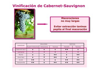 Vinificación de Cabernet-Sauvignon


                                                                                         Maceraciones
                                                                                         no muy largas

                                                                           Evitar extracción taninos
                                                                           pepita al final maceración




                                                      H O L L E JO S                                 P E P IT A S
    V A R IE D A D
                           S u p e rf./V o lu m e n   A n to c ia n o s   T a n in o s     Tam año                  T a n in o s

 C a b e rn e t sa u v .                                                                                           

     G a rn a ch a                                                                                                  

       M e rlo t                                                                                                 

     P in o t N o ir                                                                                               

        S y ra h                                                                                                

   T e m p ra n illo                                                                                           
 