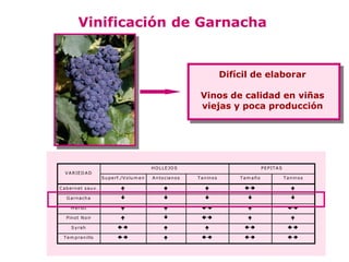 Vinificación de Garnacha


                                                                                        Difícil de elaborar

                                                                          Vinos de calidad en viñas
                                                                          viejas y poca producción




                                                     H O L L E JO S                                   P E P IT A S
   V A R IE D A D
                          S u p e rf./V o lu m e n   A n to c ia n o s   T a n in o s       Tam año                  T a n in o s

C a b e rn e t sa u v .                                                                                             

    G a rn a ch a                                                                                                    

      M e rlo t                                                                                                   

    P in o t N o ir                                                                                                 

       S y ra h                                                                                                  

  T e m p ra n illo                                                                                             
 