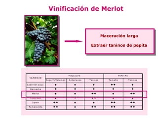 Vinificación de Merlot



                                                                                        Maceración larga

                                                                           Extraer taninos de pepita




                                                     H O L L E JO S                                  P E P IT A S
   V A R IE D A D
                          S u p e rf./V o lu m e n   A n to c ia n o s   T a n in o s      Tam año                  T a n in o s

C a b e rn e t sa u v .                                                                                            

    G a rn a ch a                                                                                                   

      M e rlo t                                                                                                  

    P in o t N o ir                                                                                                

       S y ra h                                                                                                 

  T e m p ra n illo                                                                                            
 