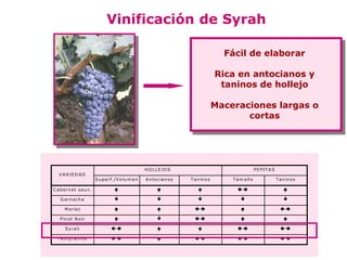 Vinificación de Syrah

                                                                                          Fácil de elaborar

                                                                                        Rica en antocianos y
                                                                                         taninos de hollejo

                                                                                        Maceraciones largas o
                                                                                               cortas




                                                     H O L L E JO S                                   P E P IT A S
   V A R IE D A D
                          S u p e rf./V o lu m e n   A n to c ia n o s   T a n in o s       Tam año                  T a n in o s

C a b e rn e t sa u v .                                                                                             

    G a rn a ch a                                                                                                    

      M e rlo t                                                                                                   

    P in o t N o ir                                                                                                 

       S y ra h                                                                                                  

  T e m p ra n illo                                                                                             
 