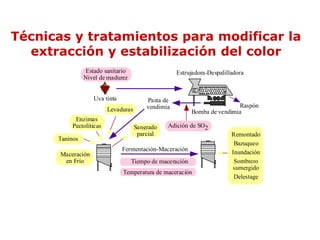 Técnicas y tratamientos para modificar la
  extracción y estabilización del color
                Estado sanitario                     Estrujadora-Despalilladora
                Nivel de madurez


                    Uva tinta             Pasta de
                                          vendimia                        Raspón
                          Levaduras                       Bomba de vendimia
            Enzimas
           Pectolíticas               Sangrado   Adición de SO2
                                       parcial                            Remontado
      Taninos
                                                                           Bazuqueo
                                Fermentación-Maceración                   Inundación
       Maceración
        en Frío                    Tiempo de maceración                    Sombrero
                                                                          sumergido
                                Temperatura de maceración
                                                                           Delestage
 