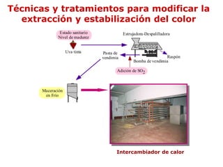 Técnicas y tratamientos para modificar la
  extracción y estabilización del color
              Estado sanitario              Estrujadora-Despalilladora
              Nivel de madurez


                    Uva tinta    Pasta de
                                 vendimia                        Raspón
                                                 Bomba de vendimia

                                        Adición de SO2



       Maceración
        en Frío




                                        Intercambiador de calor
 