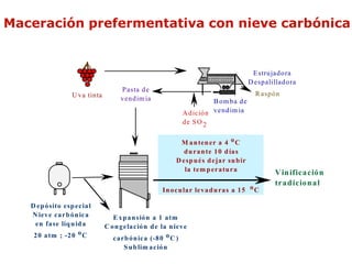 Maceración prefermentativa con nieve carbónica


                                                                                          E stru jad o ra
                                                                                         D esp alillad o ra
                                        P asta d e
                  U v a tin ta                                                             R asp ó n
                                       v en d im ia                       B om ba de
                                                               A d ició n v en d im ia
                                                               de SO 2


                                                             M a n ten er a 4 o C
                                                              d u ra n te 1 0 d ía s
                                                            D esp u és d eja r su b ir
                                                               la tem p era tu ra                  V in ifica ció n
                                                                                                   tra d icio n a l
                                                       In o cu la r lev a d u ra s a 1 5 o C

   D ep ó sito esp ecia l
   N iev e ca rb ó n ica            E x p a n sió n a 1 a tm
    en fa se líq u id a          C o n g ela ció n d e la n iev e
    2 0 a tm ; -2 0 o C             ca rb ó n ica (-8 0 o C )
                                        S u b lim a ció n
 