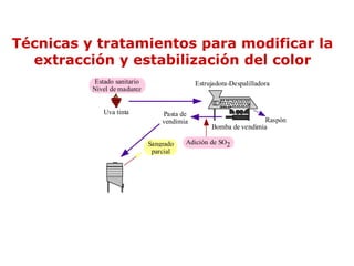 Técnicas y tratamientos para modificar la
  extracción y estabilización del color
          Estado sanitario                  Estrujadora-Despalilladora
          Nivel de madurez


             Uva tinta           Pasta de
                                 vendimia                        Raspón
                                                 Bomba de vendimia

                             Sangrado   Adición de SO2
                              parcial
 
