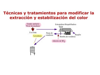 Técnicas y tratamientos para modificar la
  extracción y estabilización del color
          Estado sanitario               Estrujadora-Despalilladora
          Nivel de madurez


             Uva tinta        Pasta de
                              vendimia                        Raspón
                  Levaduras                   Bomba de vendimia

                                     Adición de SO2
 