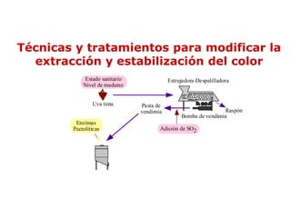 Técnicas y tratamientos para modificar la
  extracción y estabilización del color
             Estado sanitario              Estrujadora-Despalilladora
            Nivel de madurez


                Uva tinta       Pasta de
                                vendimia                        Raspón
                                                Bomba de vendimia
         Enzimas
        Pectolíticas                   Adición de SO2
 