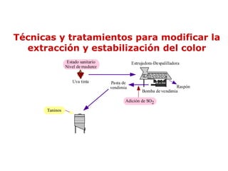 Técnicas y tratamientos para modificar la
  extracción y estabilización del color
                 Estado sanitario              Estrujadora-Despalilladora
                Nivel de madurez


                   Uva tinta        Pasta de
                                    vendimia                        Raspón
                                                    Bomba de vendimia

                                           Adición de SO2

      Taninos
 