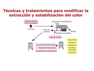 Técnicas y tratamientos para modificar la
  extracción y estabilización del color
          Estado sanitario                   Estrujadora-Despalilladora
          Nivel de madurez


             Uva tinta            Pasta de
                                  vendimia                          Raspón
                                                    Bomba de vendimia

                                         Adición de SO2
                                                                  Remontado
                                                                   Bazuqueo
                         Fermentación-Maceración                  Inundación
                             Tiempo de maceración                  Sombrero
                                                                  sumergido
                         Temperatura de maceración
                                                                   Delestage
 