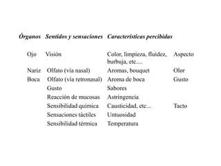 Órganos Sentidos y sensaciones Características percibidas

   Ojo     Visión                  Color, limpieza, fluidez,   Aspecto
                                   burbuja, etc....
   Nariz   Olfato (vía nasal)      Aromas, bouquet             Olor
   Boca    Olfato (vía retronasal) Aroma de boca               Gusto
           Gusto                   Sabores
           Reacción de mucosas Astringencia
           Sensibilidad química Causticidad, etc...            Tacto
           Sensaciones táctiles    Untuosidad
           Sensibilidad térmica    Temperatura
 