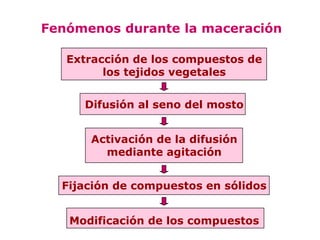 Fenómenos durante la maceración

   Extracción de los compuestos de
         los tejidos vegetales


     Difusión al seno del mosto


      Activación de la difusión
        mediante agitación


  Fijación de compuestos en sólidos


   Modificación de los compuestos
 