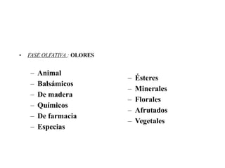 •   FASE OLFATIVA : OLORES


    –   Animal
                             –   Ésteres
    –   Balsámicos
                             –   Minerales
    –   De madera
                             –   Florales
    –   Químicos
                             –   Afrutados
    –   De farmacia
                             –   Vegetales
    –   Especias
 
