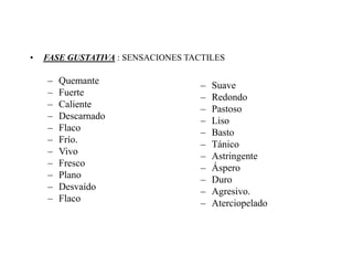 •   FASE GUSTATIVA : SENSACIONES TACTILES

    –   Quemante                    –   Suave
    –   Fuerte                      –   Redondo
    –   Caliente                    –   Pastoso
    –   Descarnado                  –   Liso
    –   Flaco                       –   Basto
    –   Frío.                       –   Tánico
    –   Vivo                        –   Astringente
    –   Fresco                      –   Áspero
    –   Plano                       –   Duro
    –   Desvaído                    –   Agresivo.
    –   Flaco                       –   Aterciopelado
 