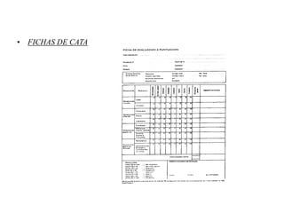 • FICHAS DE CATA
 