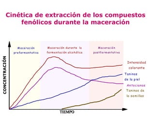 Cinética de extracción de los compuestos
    fenólicos durante la maceración



     M ace r ación         M ace r ación d ur an te la         M ac er ació n
  pr e fer m e nt ativ a   fe rm e nt ación alco h ólica   p os tfe r m en tat iv a


                                                                                        I nt e ns id ad
                                                                                         col or ant e

                                                                                      T aninos
                                                                                      de la p ie l
                                                                                       An to cia nos
                                                                                       T aninos de
                                                                                       la s e m illas




                                     TIEMPO
 
