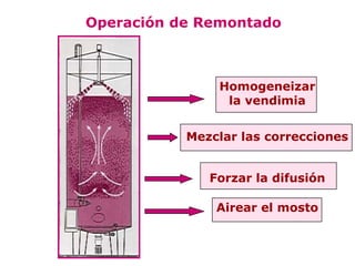 Operación de Remontado



               Homogeneizar
                la vendimia


           Mezclar las correcciones


              Forzar la difusión

               Airear el mosto
 
