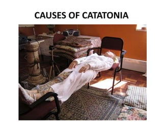 CAUSES OF CATATONIA
 