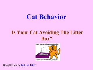 Cat Behavior   Is Your Cat Avoiding The Litter Box?   